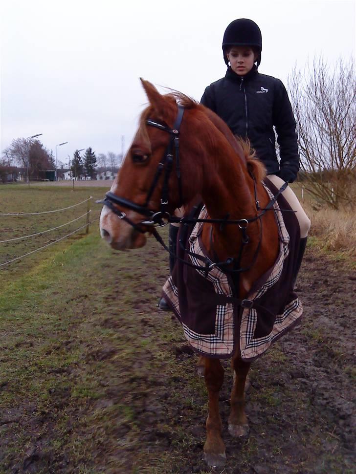 DSP Dublin  billede 7