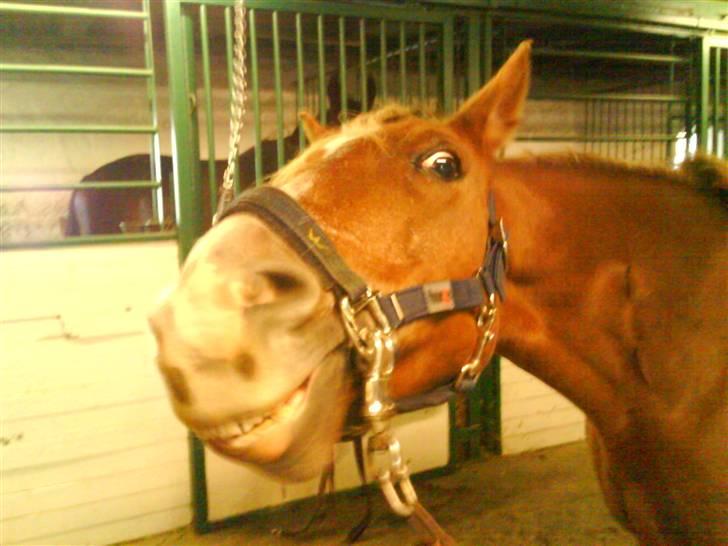 DSP Dublin  billede 8