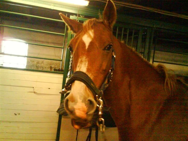 DSP Dublin  billede 9