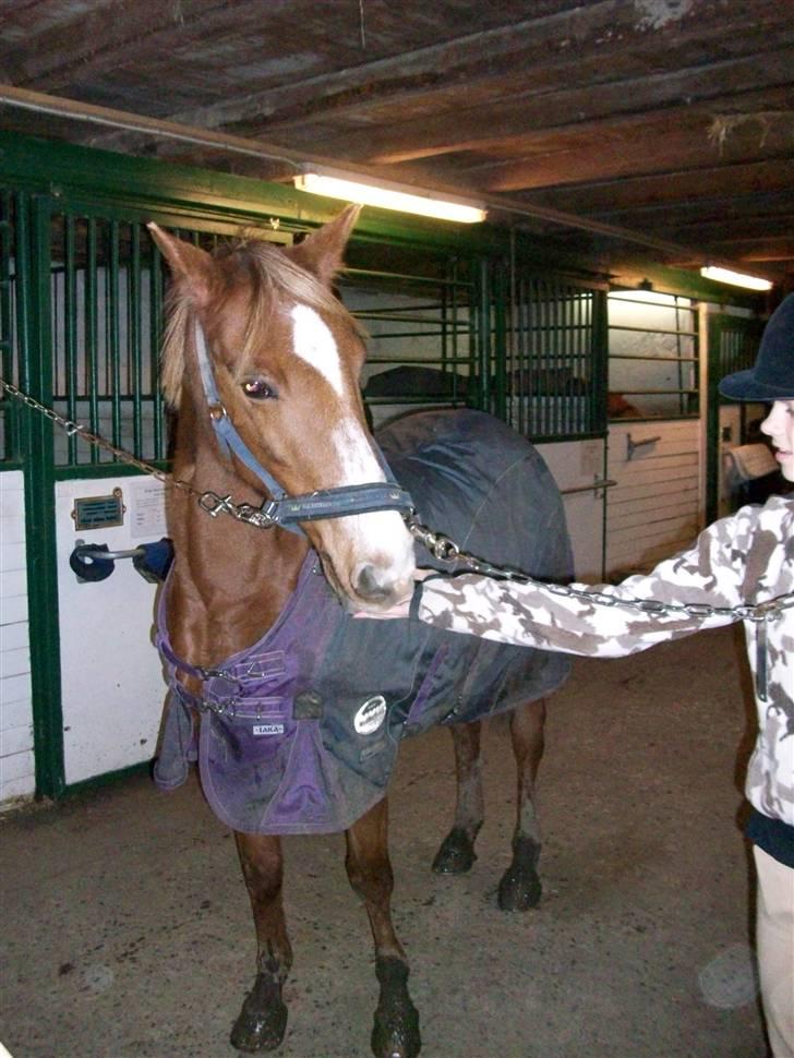 DSP Dublin  billede 10