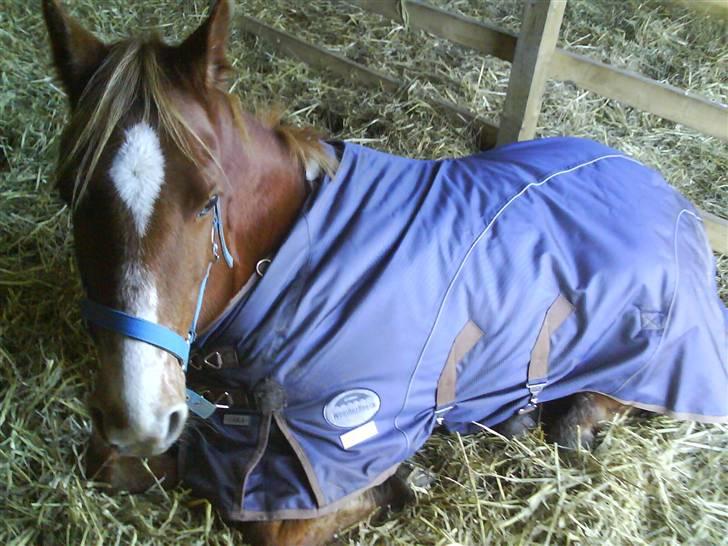 DSP Dublin  billede 11