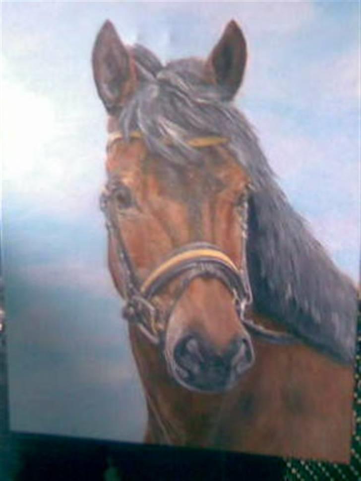 New Forest lazlos joke - joke billede 4