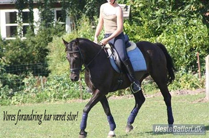 Anden særlig race Prins <3 - Billede nr.: 8* Prinsen & mig :) <3  DATO: 7/7-09  FOTO: Sis <3<3<3 billede 8