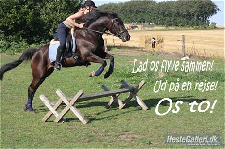 Anden særlig race Prins <3 - Billede nr.: 9* Dejligt lille spring, med fuld fart!!! <3    FOTO: Sis skatten <3 billede 9