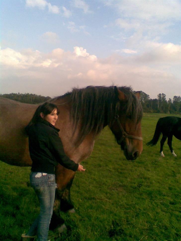 Belgier Dorte af tjerrildmosegård... solgt - min datter og petit august 08 billede 5