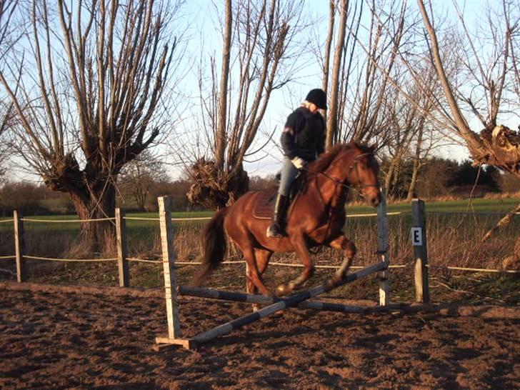 Anden særlig race Fabian - Første gang vi sprang (: billede 3