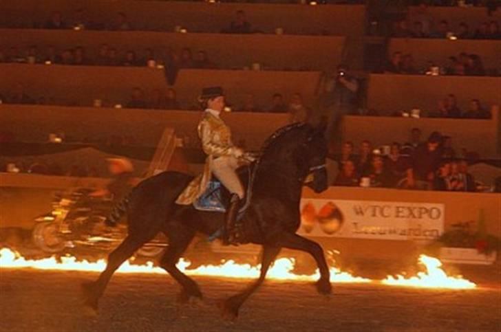 Frieser Jelmer fan de Adelvej - Jelmer og mig laver show til frieserhingstekåring i Leeuwarden - Holland 2008 billede 5