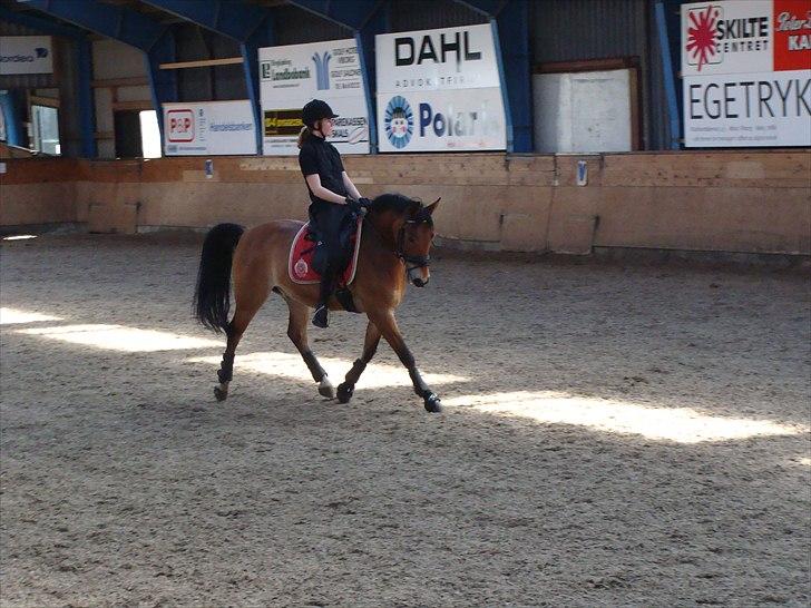 Anden særlig race Fernando B-pony - R.I.P... billede 10