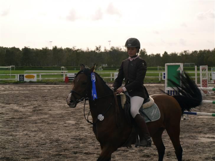 Anden særlig race Hvedesegaarden's Boogie - Præmieoverrakkelse til Sjællandsmesterskaberne, nr. 4. Foto: Henning Teglmand billede 20