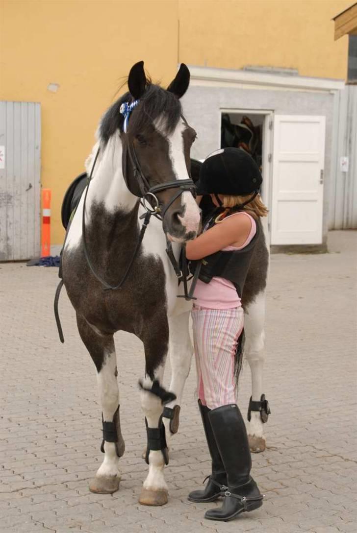 Anden særlig race Shannon *Gammel part* - (: Dejligt billede af ham <3 billede 6