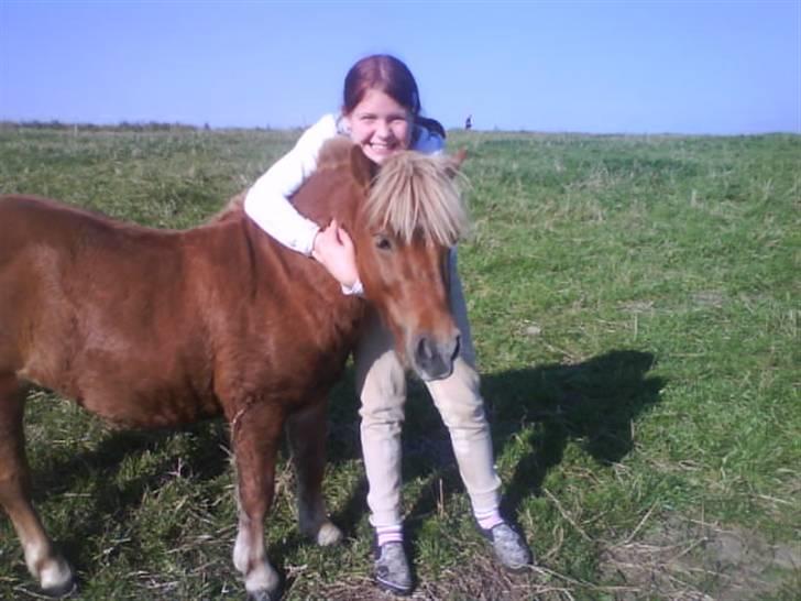 Shetlænder Klaus - vi havde det altid det sjovest når vi var mest fjolle :)<3 billede 7