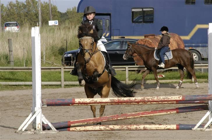 Irsk Sportspony Yellow Star<'3 - opvarming HUR til vores 1. stævne sammen :) billede 9