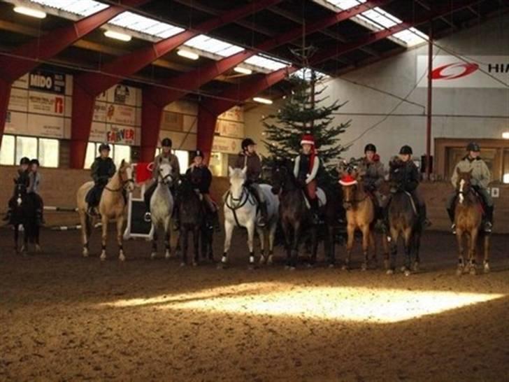 DSP Theo D. 2 *pensioneret* - Julearrengement oppe på rideren billede 2