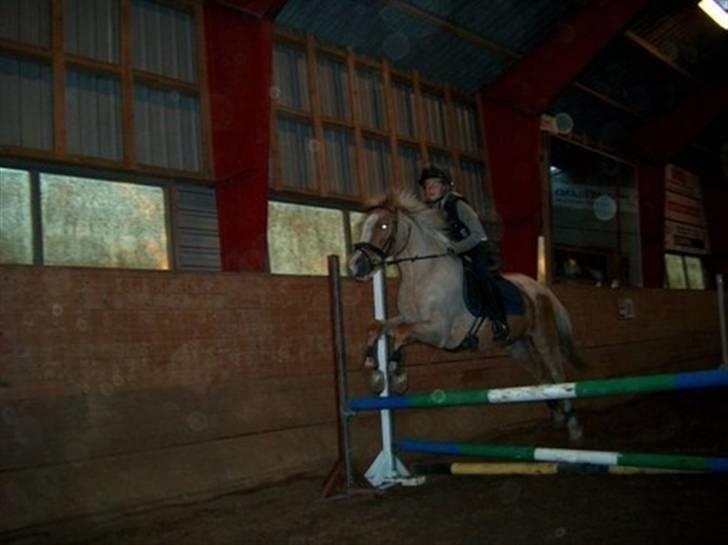 DSP Theo D. 2 *pensioneret* - ja nu springer vi sørme xD billede 6