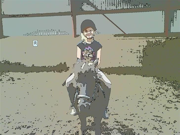 Shetlænder King Kong <3 - Os inde i ridehuset lavet om til tegnefilm :b Originalen kommer senere.. billede 9