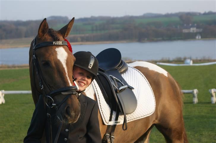 Pinto Ferdinand Bpony - Solgt - - Jep - lige vundet la1 på Årslevgården med 70,7 % - Foto Marianne billede 2