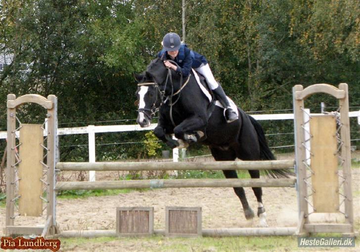 Anden særlig race | Oliver <3 - Super billede<3  Foto: Pia l billede 14