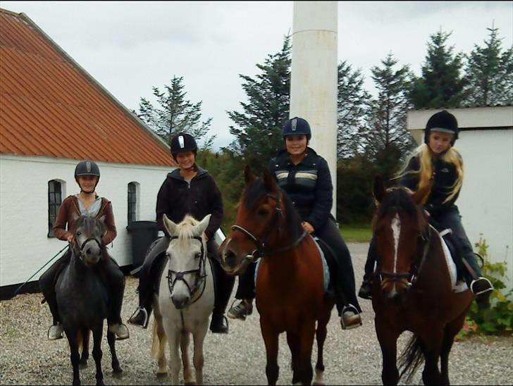 Anden særlig race Pjuske<3 billede 11