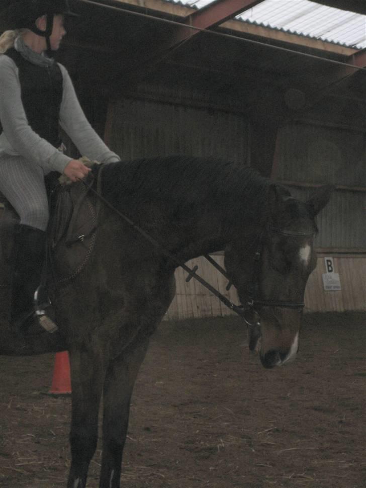 Anden særlig race Tobias (Sweety Monty) -  :D Jeg er læk´læk´lækker ! <3                    .- Foto: Mcihelle billede 4