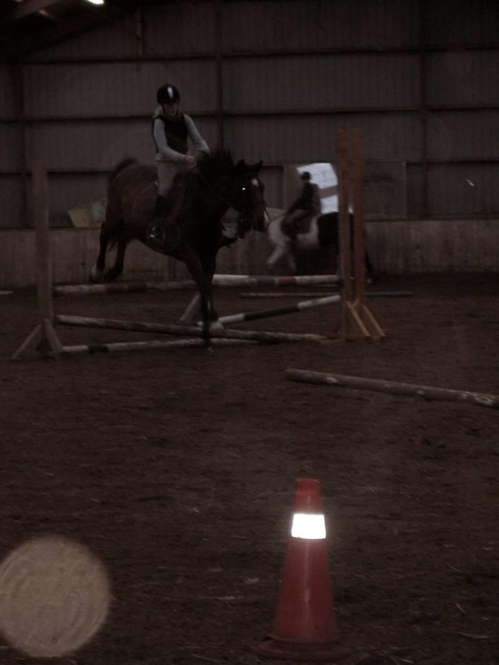 Anden særlig race Tobias (Sweety Monty) - jump :D                                                                                                   Foto: Michelle billede 5