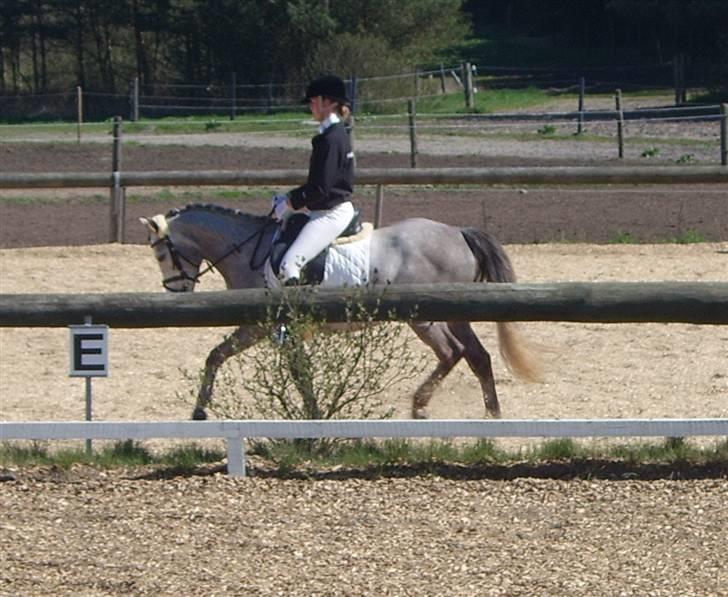 Connemara Canella - Canella og jeg <3 billede 10