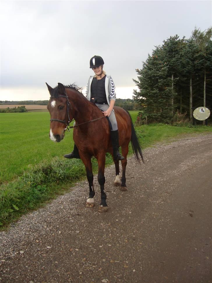 Anden særlig race Tobias (Sweety Monty) - Læk´Læk´Lækker <3 Skridter af uden sadel efter en dejlig spring time.  . - Foto: Michelle billede 7