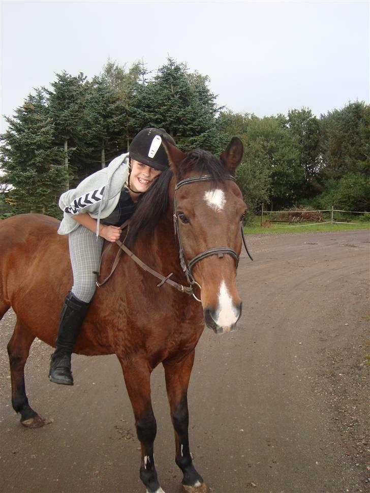 Anden særlig race Tobias (Sweety Monty) - Du er så dejlig Biisen <3 . - Foto: Michelle billede 9