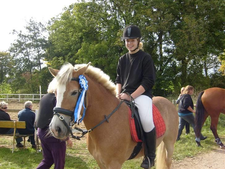 Haflinger Cora *solgt* - blev da til en 2.plads ingen skrammer og en hygge tur for cora... det er ditte der rider de to er som pot og pande på banen billede 15