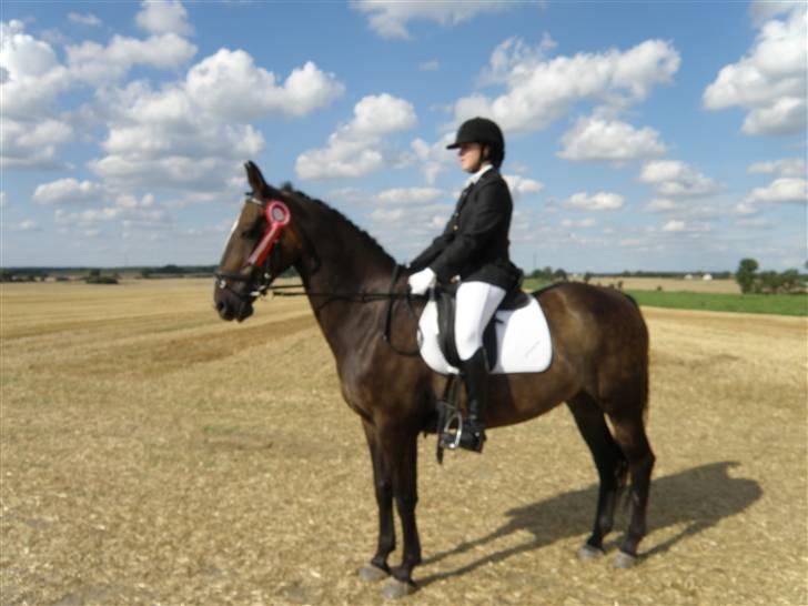 Oldenborg Pirana<3 (Solgt) - Mig og Pirana efter en først plads i LB1 til 65,5 % :) billede 8