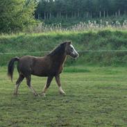 Anden særlig race <3 Turpin <3