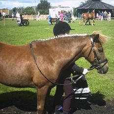 Anden særlig race Bonnie-boy    R.I.P
