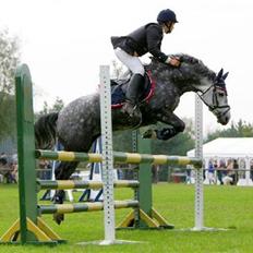 New Forest Odbjergs Isabell er slogt