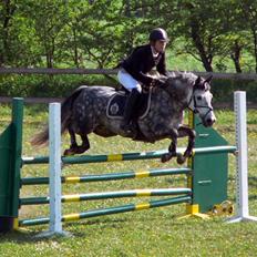 New Forest Odbjergs Isabell er slogt