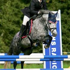 New Forest Odbjergs Isabell er slogt
