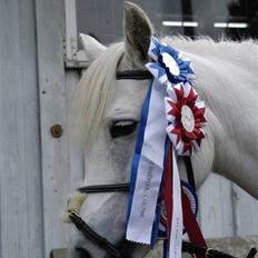 Anden særlig race Perle( Part) <'33