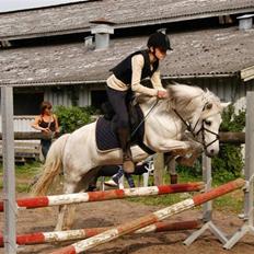 Anden særlig race Perle( Part) <'33