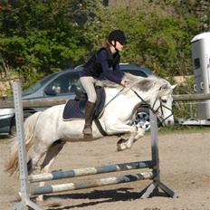 Anden særlig race Perle( Part) <'33