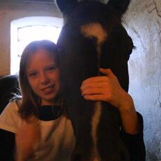 New Forest Black Pepper *elev pony*