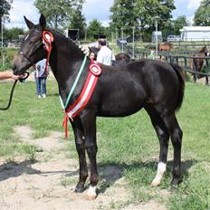 Oldenborg Adell af Vodagergård