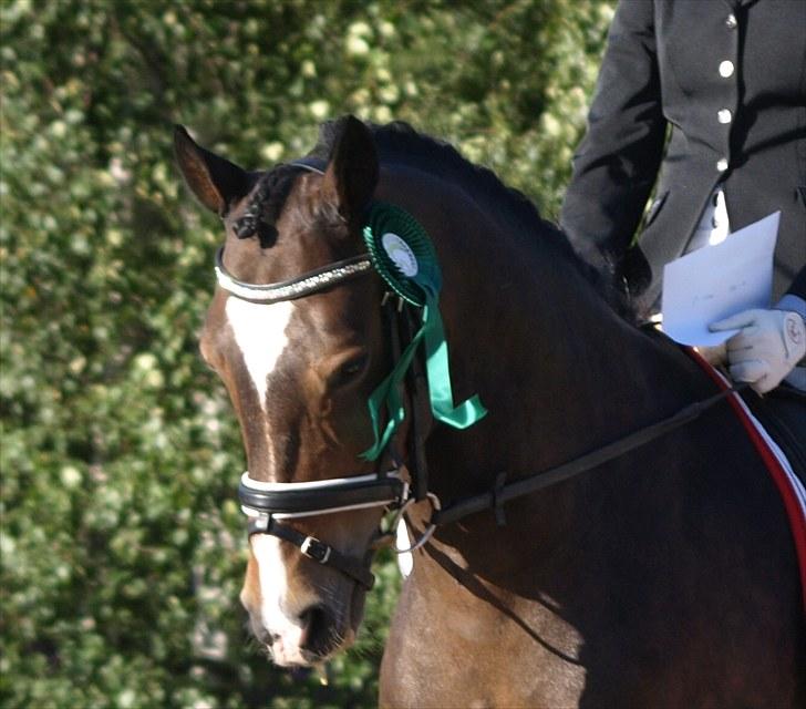 DSP Samson - indiv. SJM 7.plads <3 billede 15