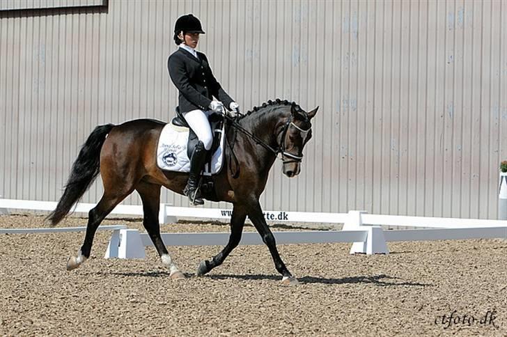 DSP Samson - SJM for hold billede 16