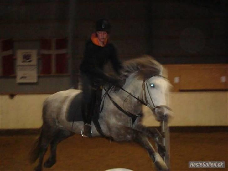 Anden særlig race Rakhan , klubmester 2010  - mig og Rakhan springer :D over nogle ting der står under springet, han kunne ikke lide den første gang men anden gang sprang han (gammelt billede) billede 3