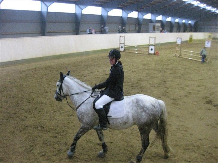 Anden særlig race Rakhan , klubmester 2010  - stævnet i september  billede 5