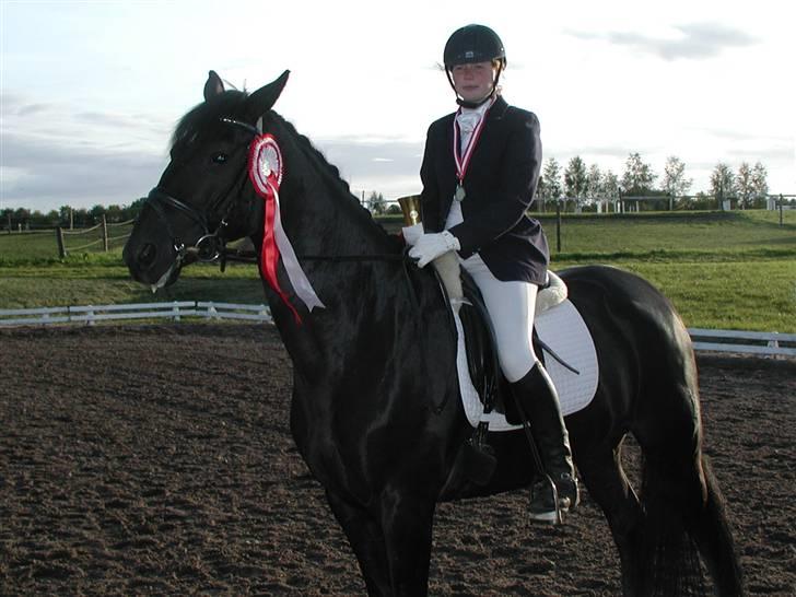 Trakehner Mireille - Solgt - MIg og Sorte: Klubmestre 2008 billede 14