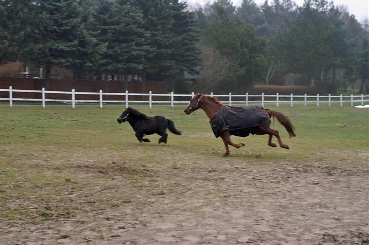 Traver Dexon - Nu skal jeg fange dig.. billede 11