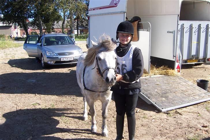 Anden særlig race BENT - Distance.. billede 4