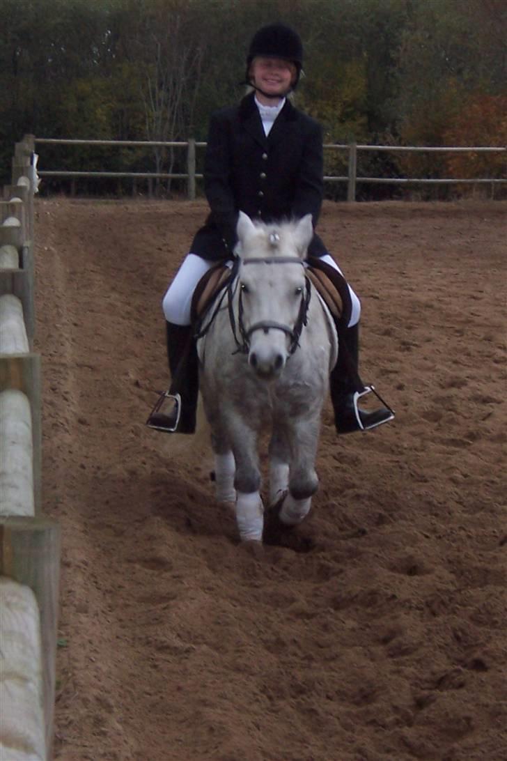 Anden særlig race BENT - Stævne i langholt.. billede 5