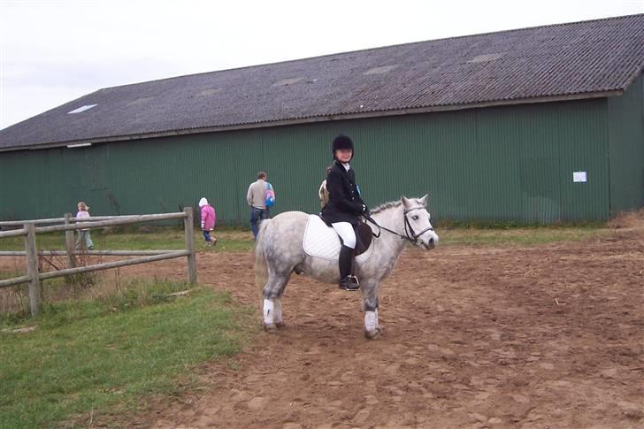 Anden særlig race BENT - Stævne i langholt.. billede 6