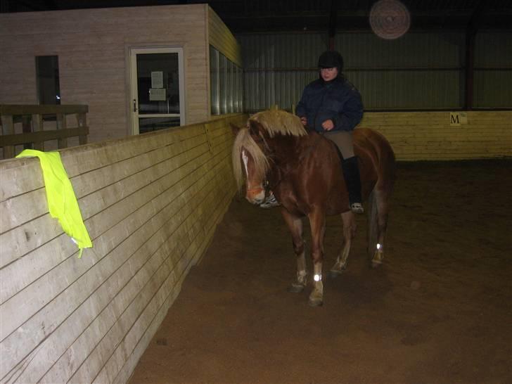 Anden særlig race cha-cha - ridehus igen billede 2