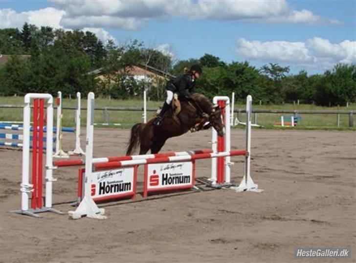 Hollandsk Sportspony Diamant B-pony - Stævne :D (Foto: Photo Corner) billede 8
